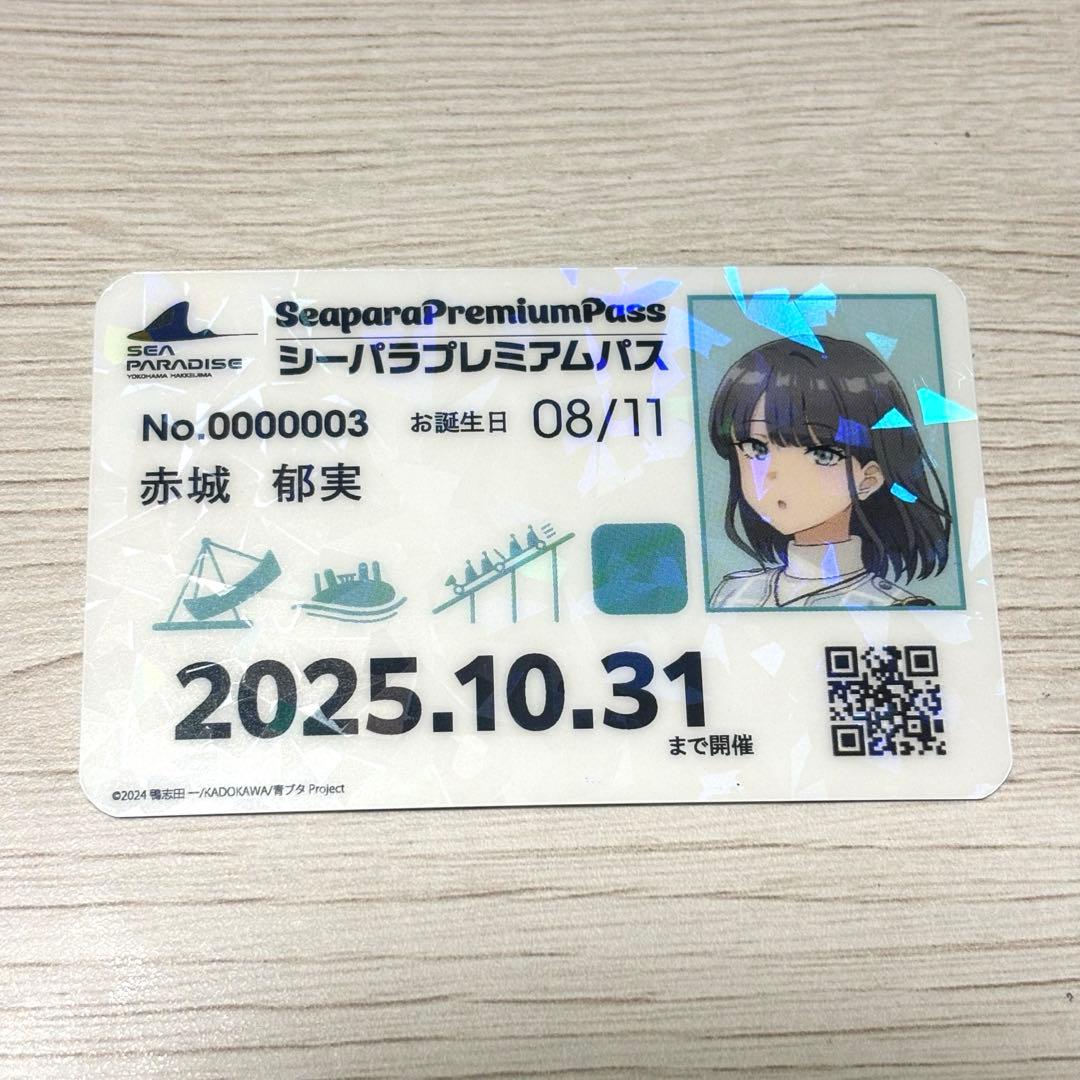 青ブタ×八景島シーパラダイス プレミアムパス風カード 赤城郁実 - メルカリ