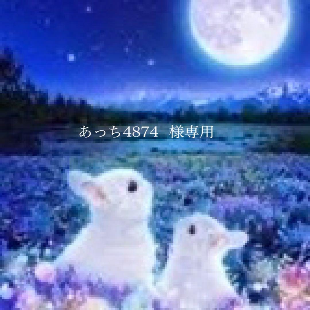 あっち4874