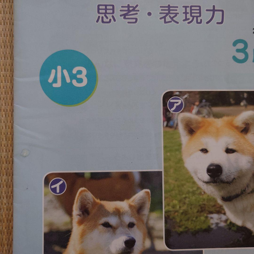 Z会 エブリスタディ 思考・表現力 小3 2024年4月号～2025年3月号