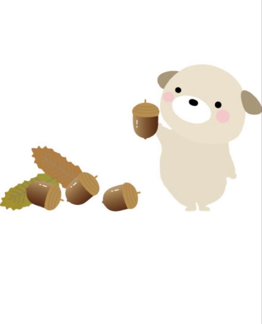 ありありちゃん リカちゃん LD-17 エアリートレンチ お一人さま3点限り 4904810912767