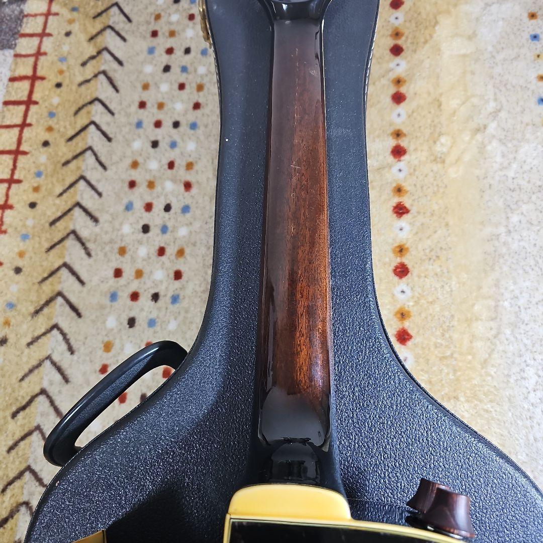 Aria.Elecod.FE-S80エレアコ珍品。 - メルカリ