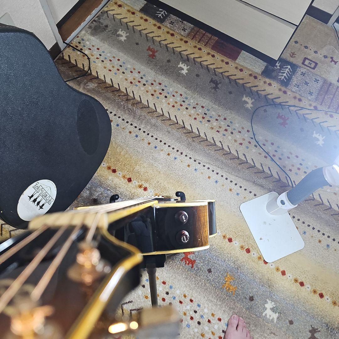 Aria.Elecod.FE-S80エレアコ珍品。 - メルカリ