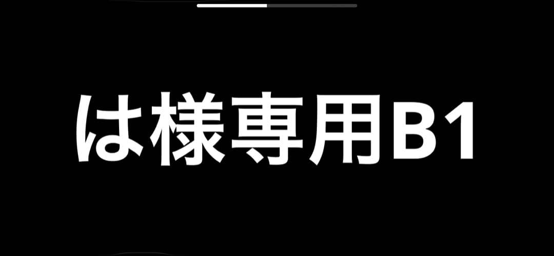 はB1