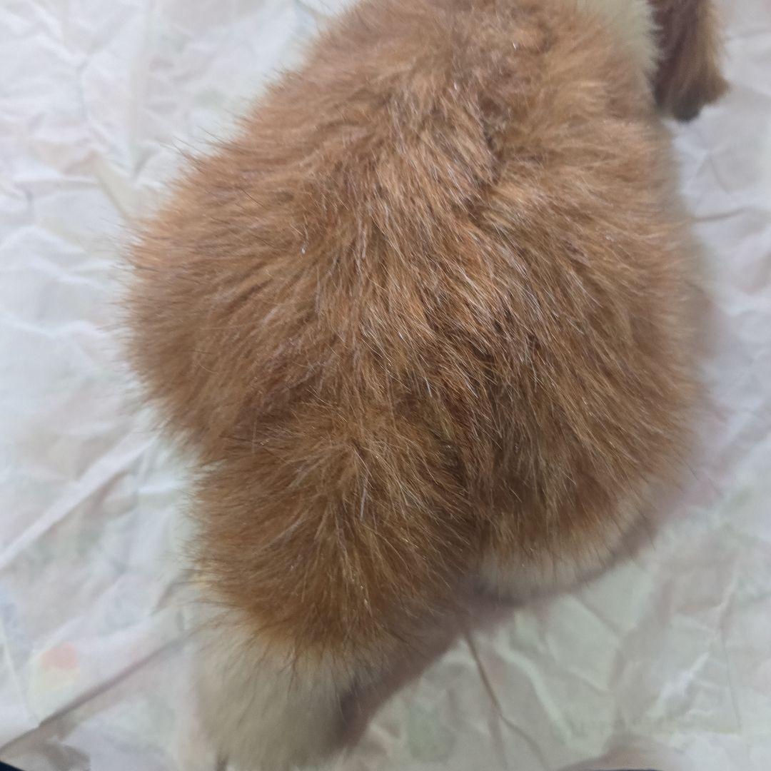 オリエンタルトーイ チャイルドバーナード 這 M420 - メルカリ