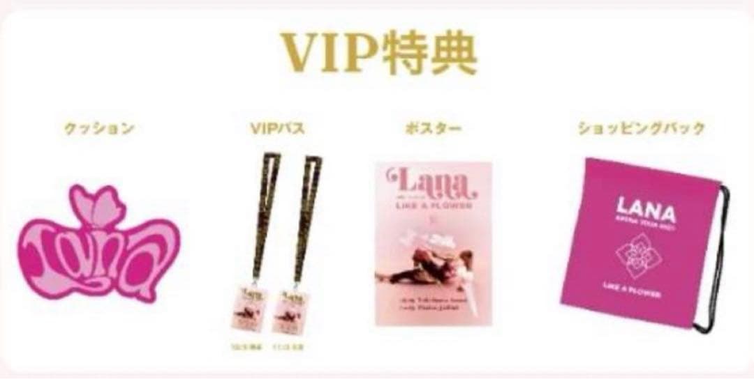 LANA 横浜アリーナ VIP 特典 限定 銀テープ 付き