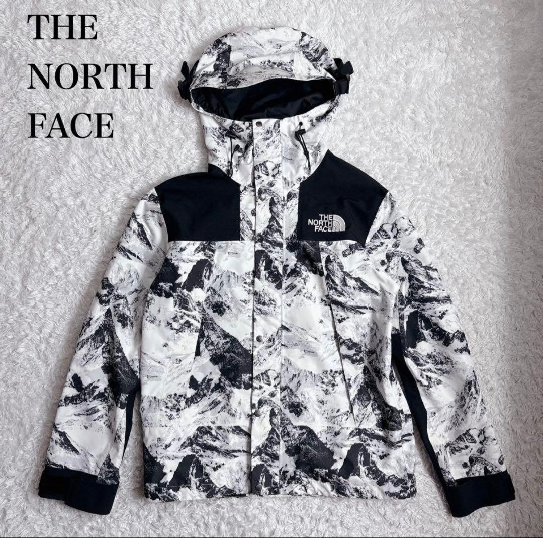 【美品】ザノースフェイス マウンテンパーカー　NJ2GN60B ゴアテックス M