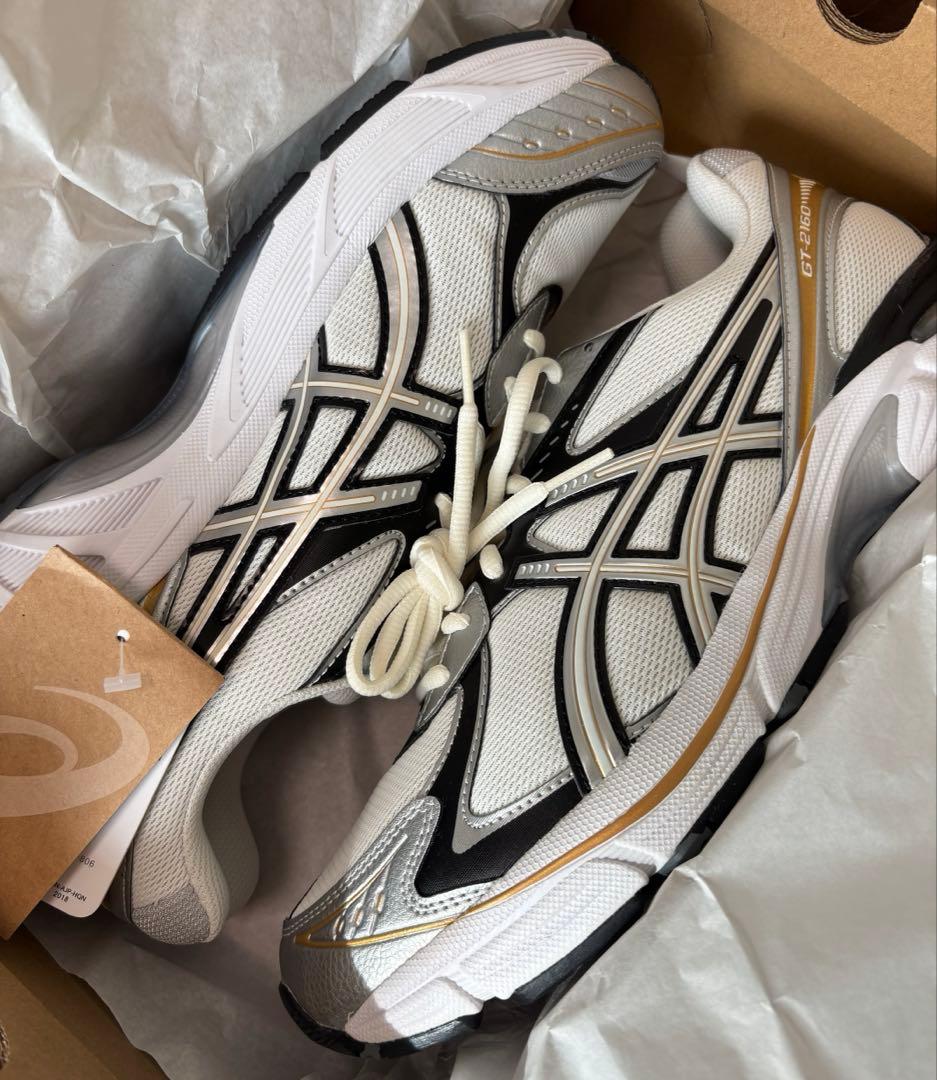 靴 ASICS GT-2160 1203A320-100