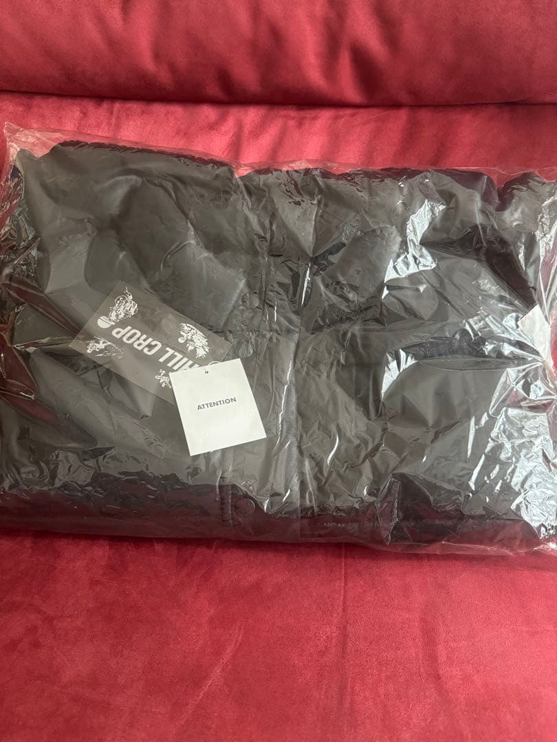 サザンオールスターズ　1996 年越しライブ　USHI ダウンベスト✨️未使用✨️