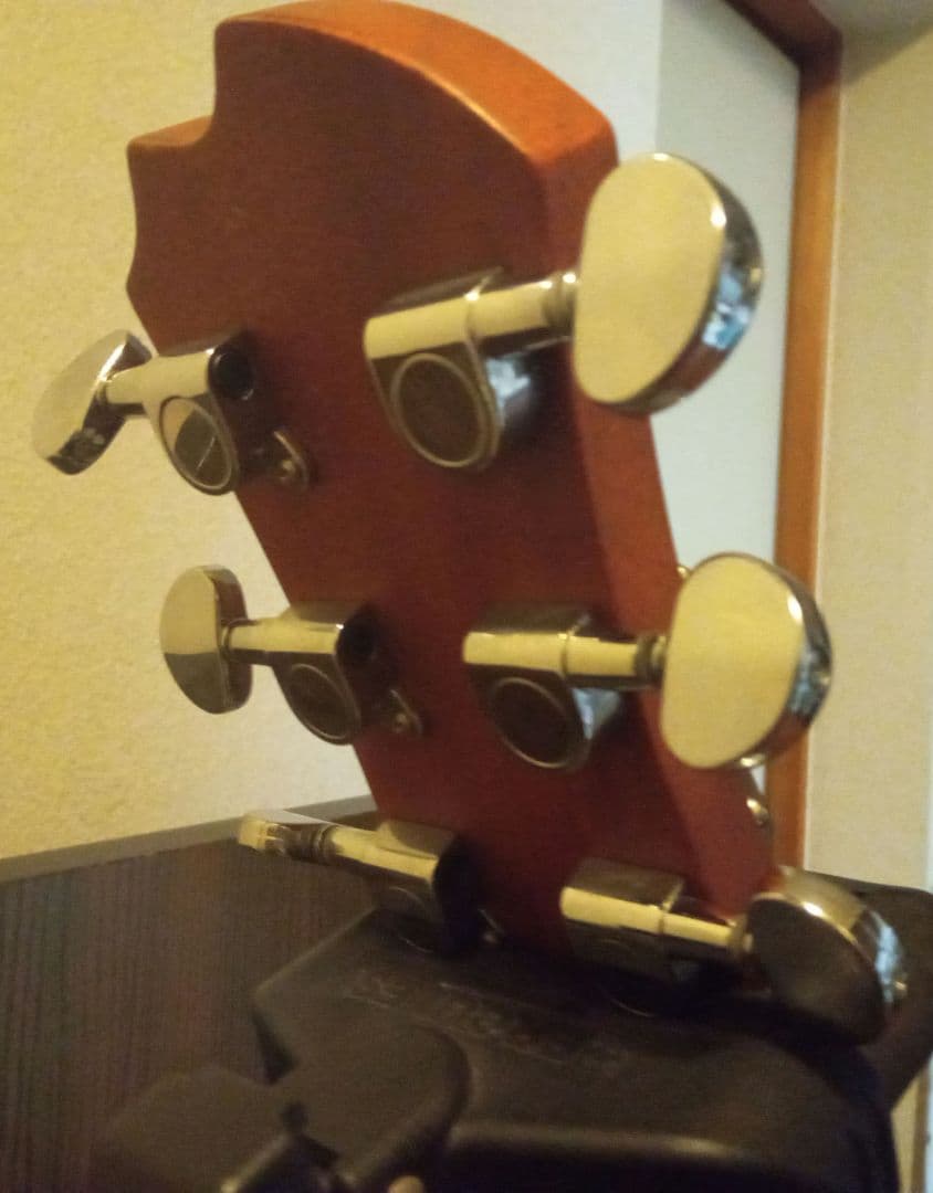 初心者オススメ】JAMES J-300A アコースティックギター＆良いケース