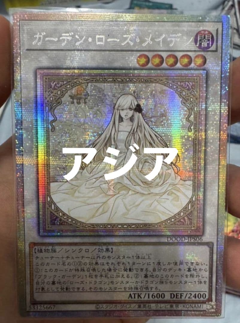 ガーデン・ローズ・メイデン アジア