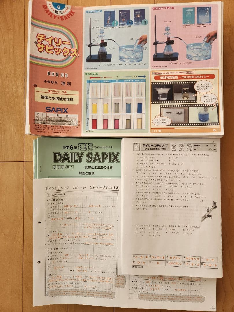 2025年度 サピックス 6年生 理科 欠番なし