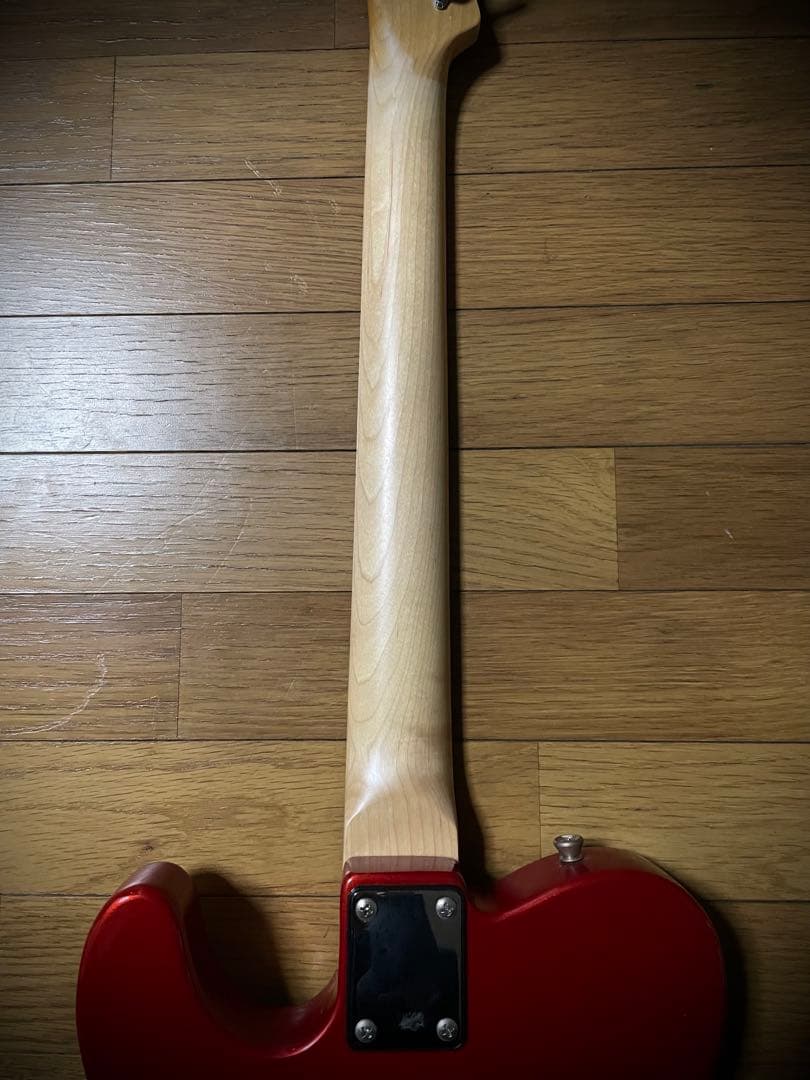 Bacchus バッカス テレキャスター THEMODS 森山達也 - メルカリ