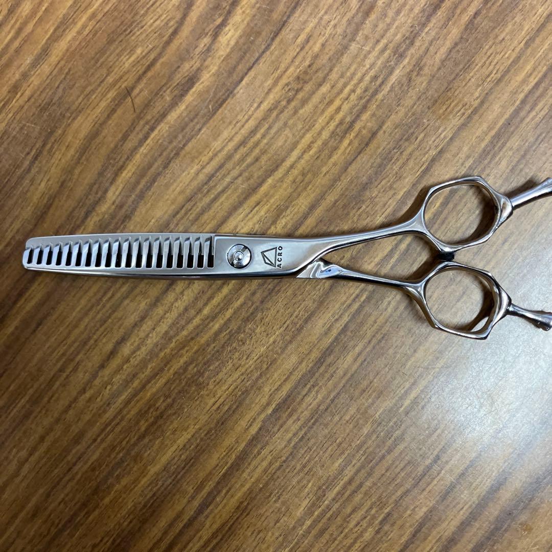 ミズタニユラギ6