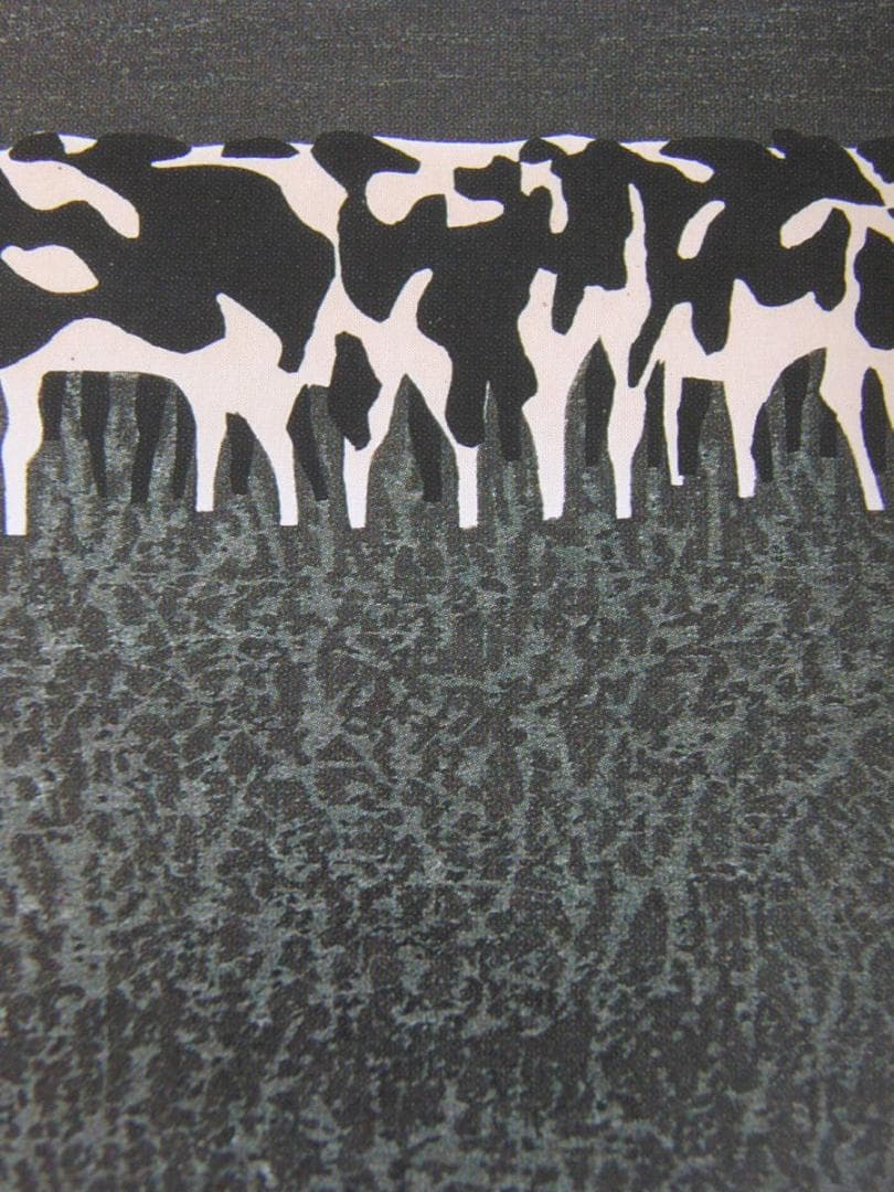 斎藤清、「北海道（A）」、希少な画集の額装画、オーダーマット付