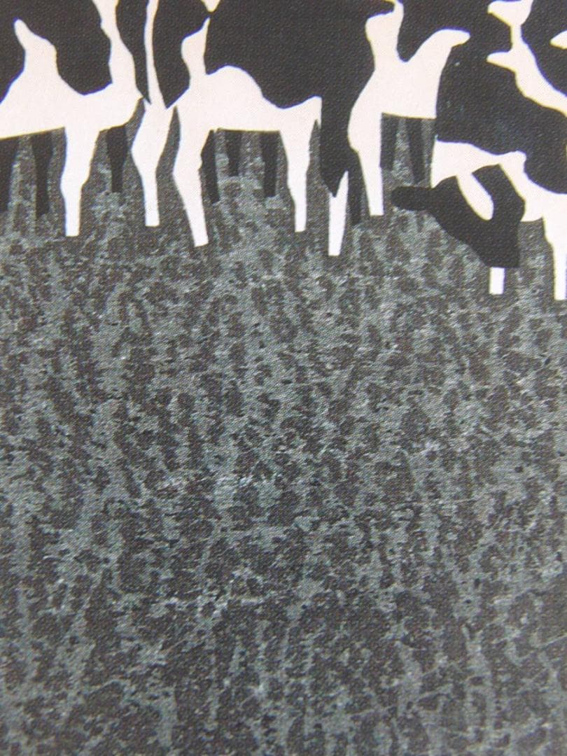 斎藤清、「北海道（A）」、希少な画集の額装画、オーダーマット付