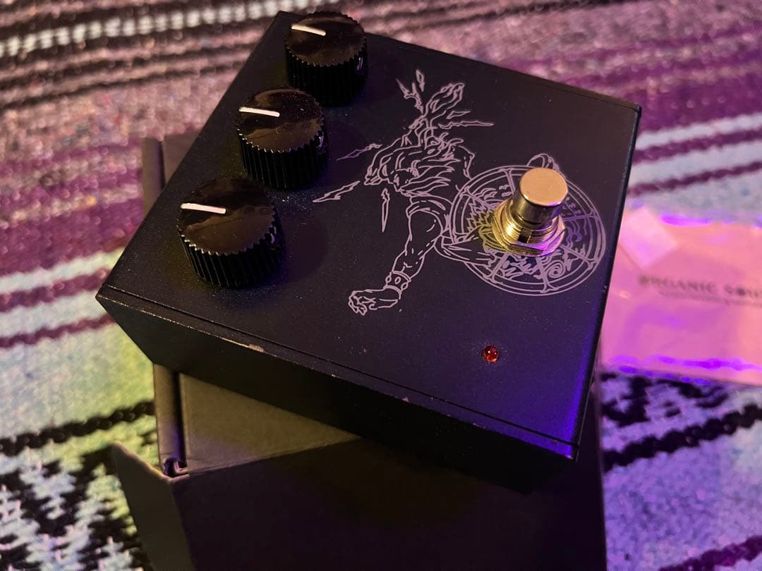 ギター Organic Sounds Zeus