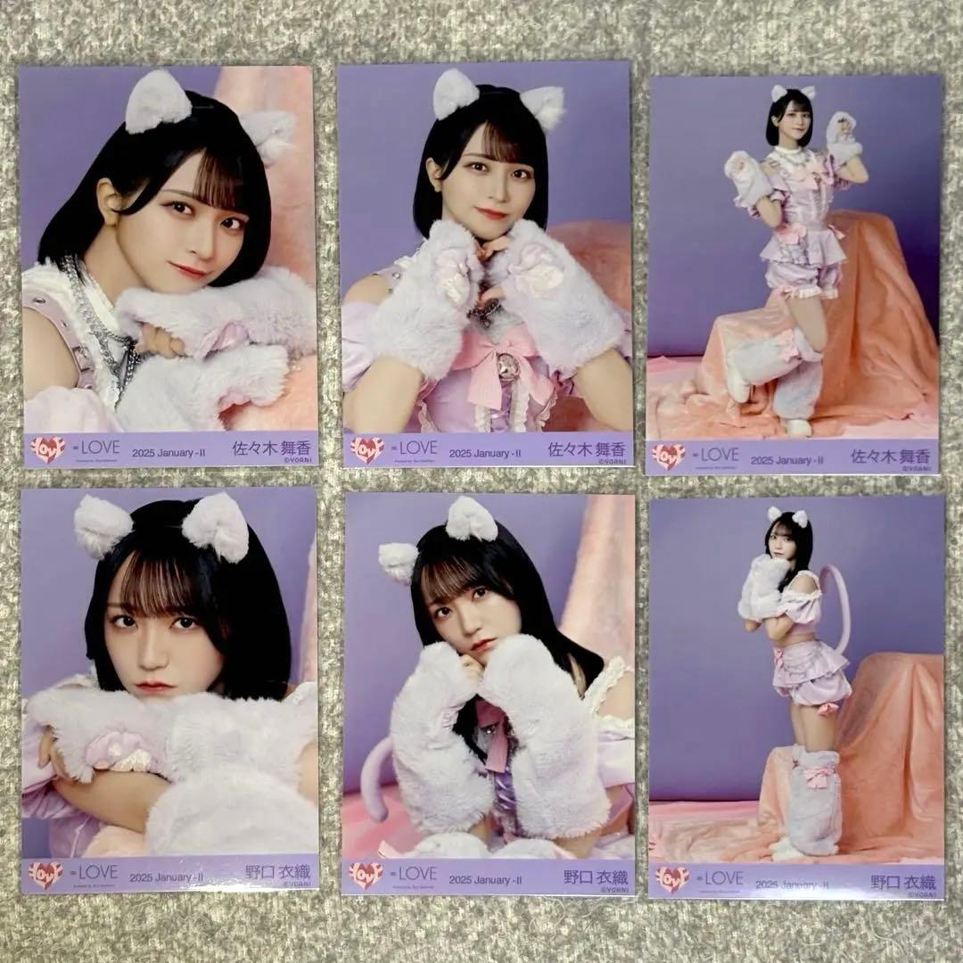 イコラブ 野口衣織 佐々木舞香 生写真 コンプ 猫 7周年 猫衣装 ＝LOVE