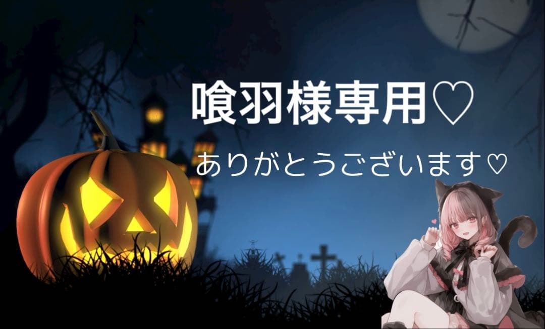 喰羽 ウェビックガレージセール | ninja ZX14R ZX-14R HighGrade 12-20