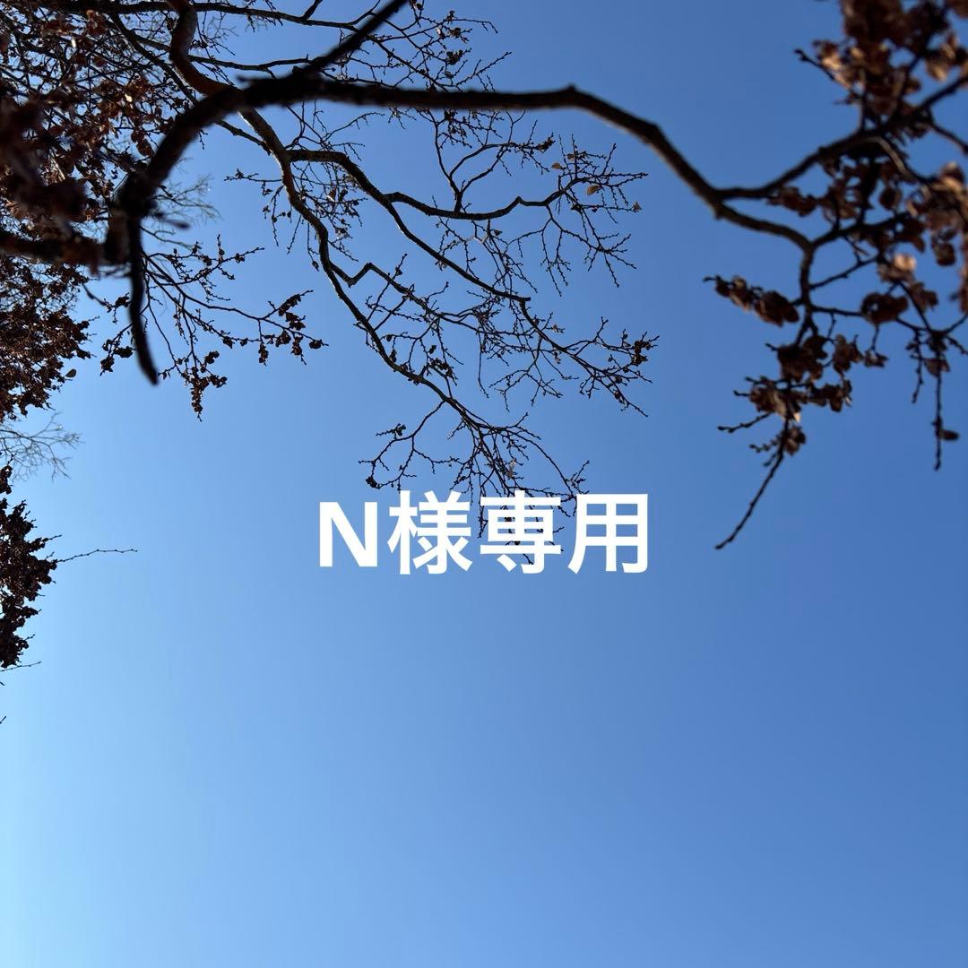 Nページですm(_ _)m