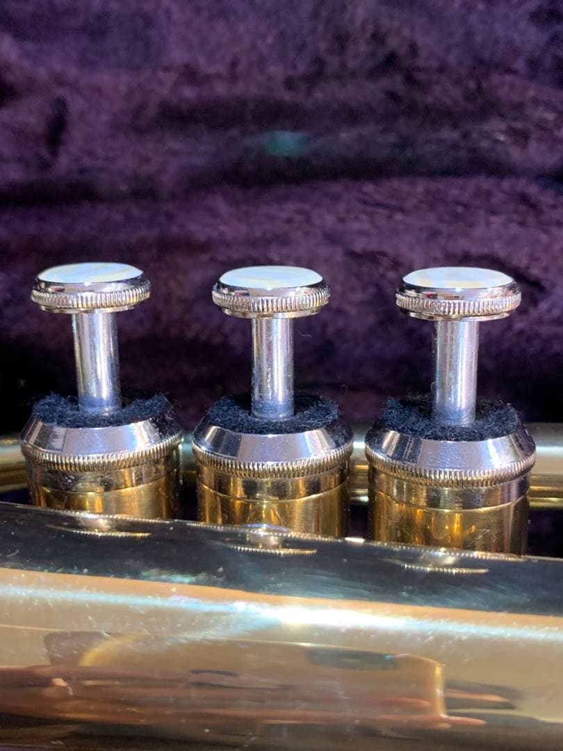 Heinrich へインリッチ ケース付 ポケットトランペット