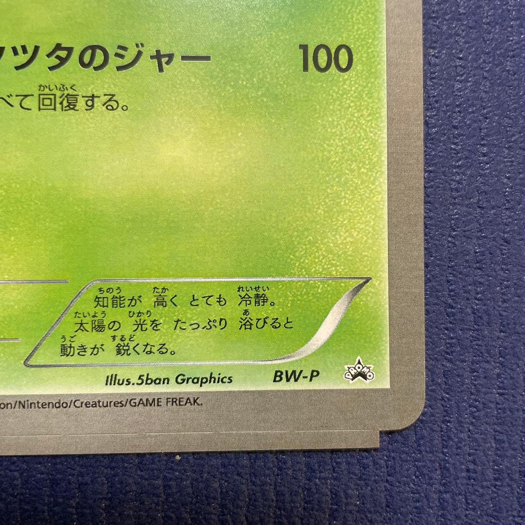 大幅値下げ】ツタージャ ジャンボカード オリジナル カスタマイズ