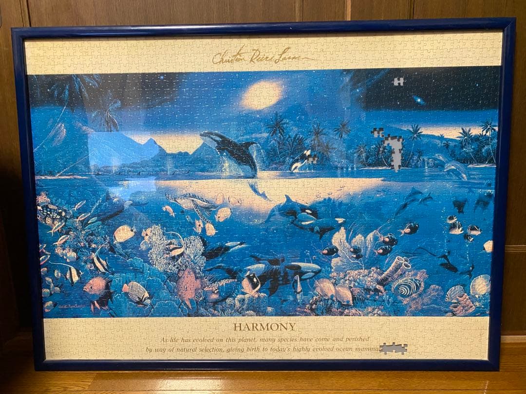 クリスチャン・リース・ラッセンの絵画のパズル(完成品、フレーム付き) Amazon.co.jp: ユーパワー クリスチャン・リース・ラッセン ビッグ