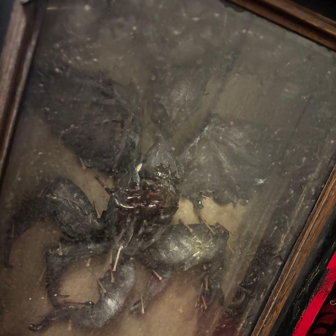 1点限定作品 】悪魔滅殺祭壇(large) - メルカリ