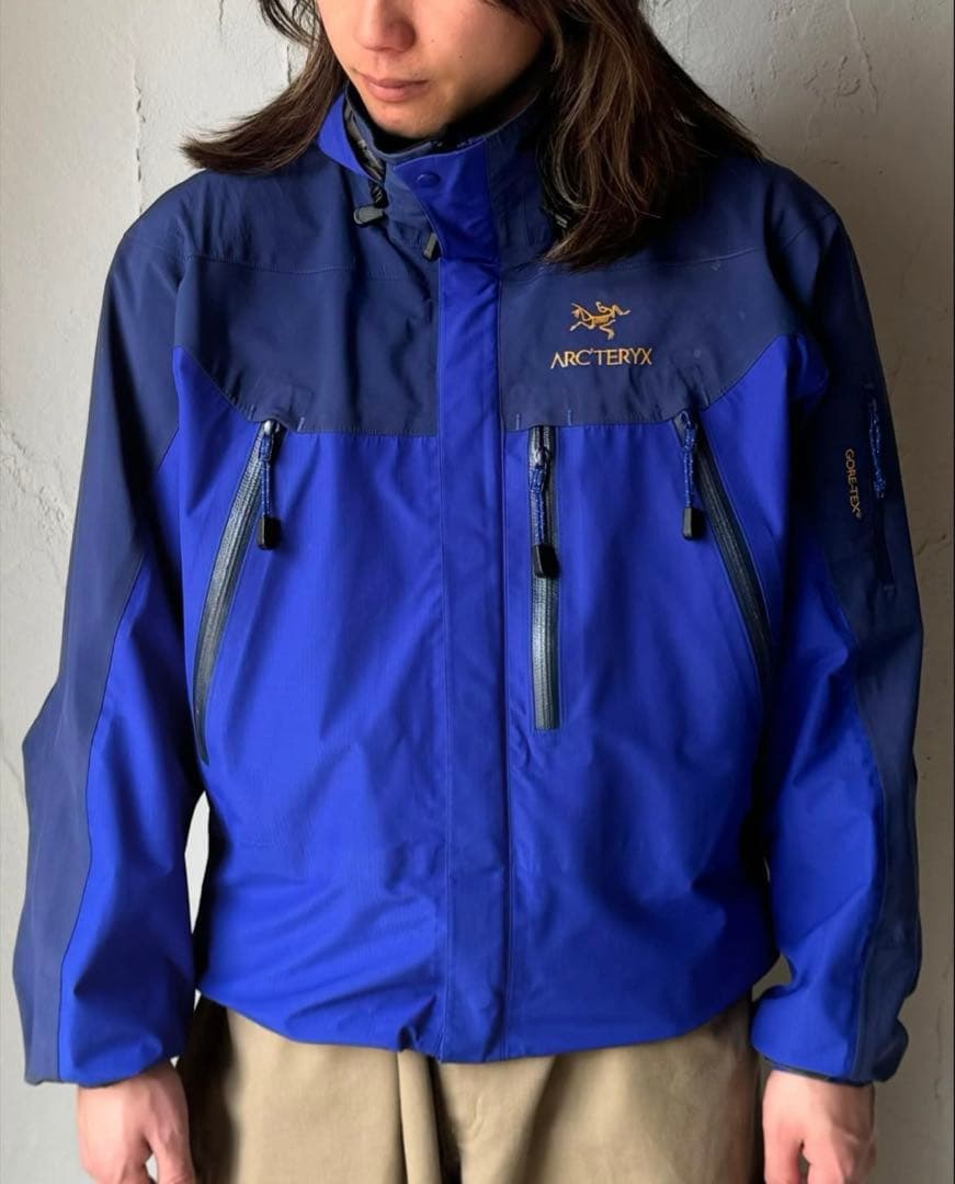 スペシャルVintage金刺繍 ARC'TERYX Theta AR ブルー青M - メルカリ