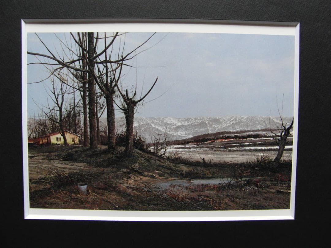 武本 春根、「木立快晴」、希少画集・額装画、日本製・新品額縁にて額装致します