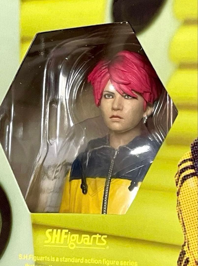 〜向日葵〜さん専用SHFiguarts hideROCKET DIVEフィギュア