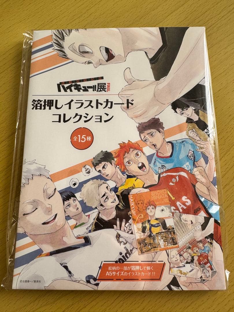 ハイキュー!! イラストカードコレクション 全15種 A5サイズ