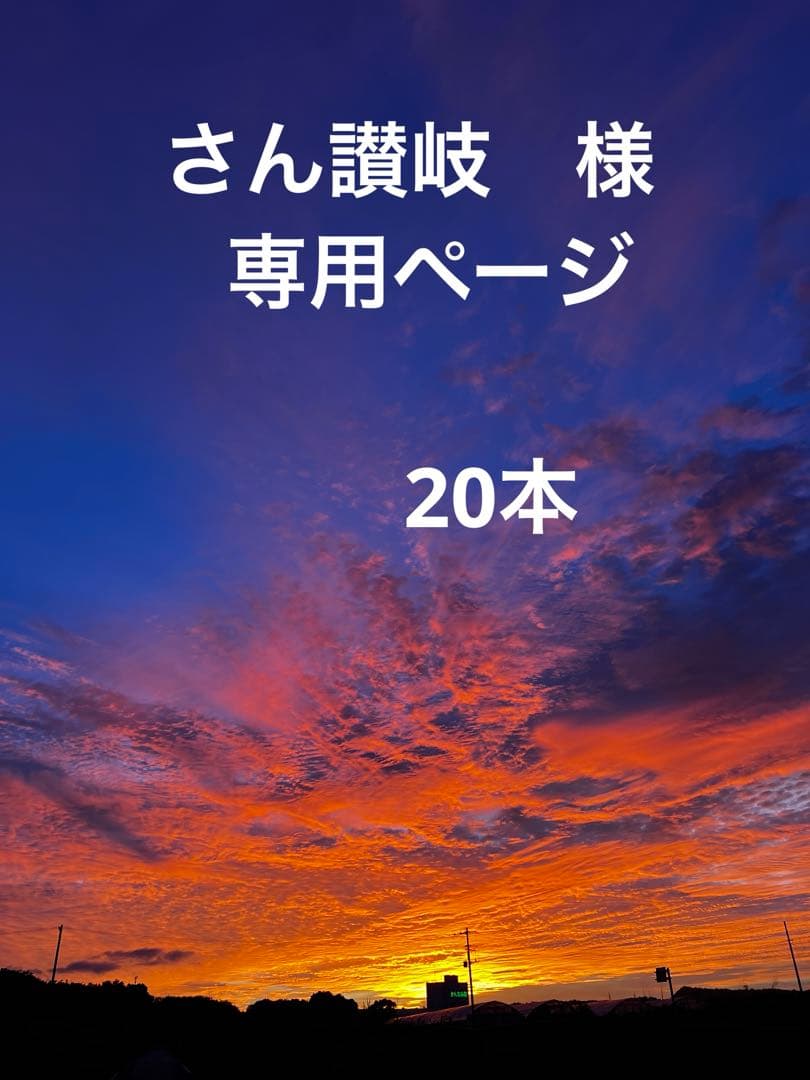 さん讃岐　ページ　20本