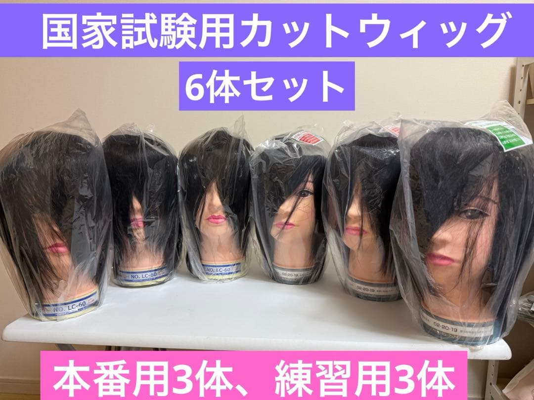 国家試験用カットウィッグ6体セット