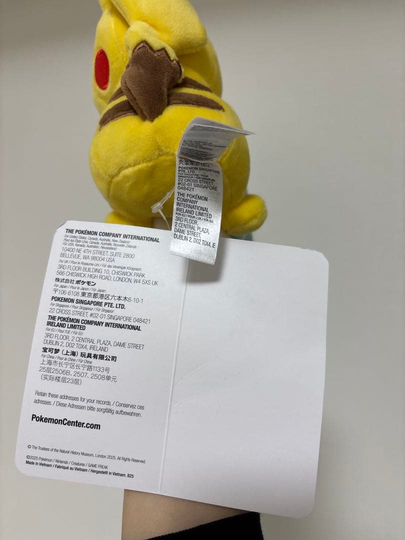 ロンドン 自然史博物館 ポケモン ピカチュウぬいぐるみ - メルカリ