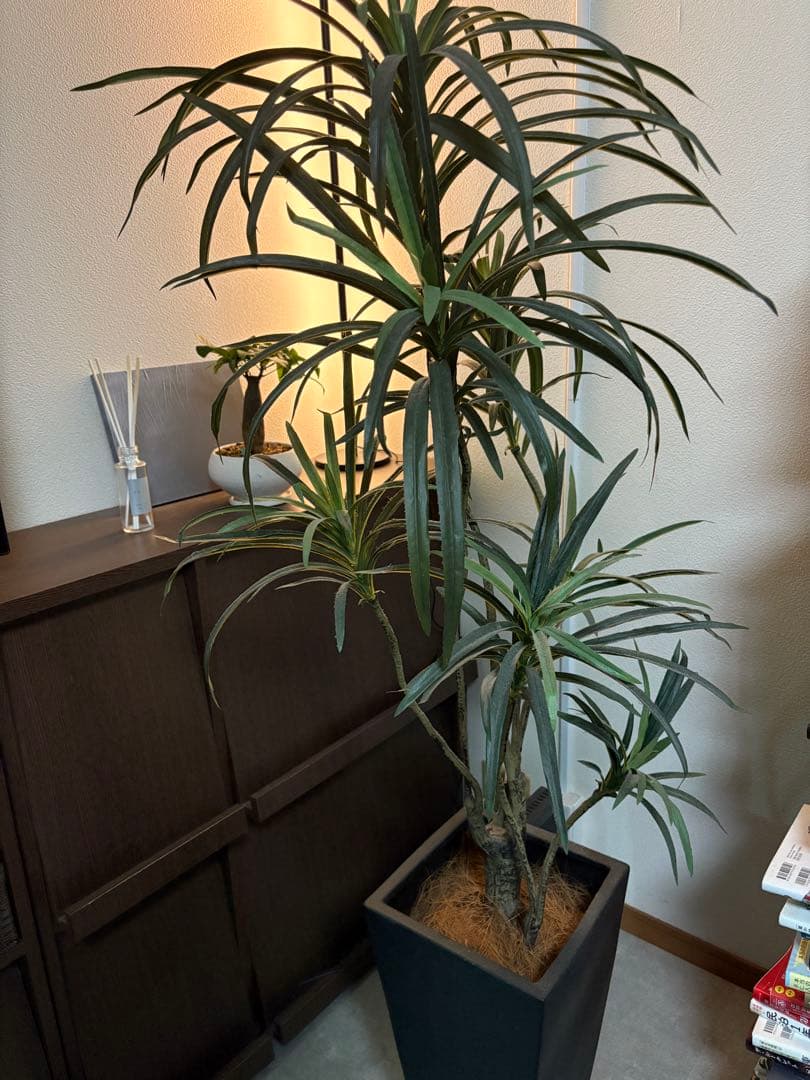 人工観葉植物 約150cm モダンデザイン g162010]【高さ85cm】Nature 光触媒人工観葉植物 ユーカリ 観葉植物