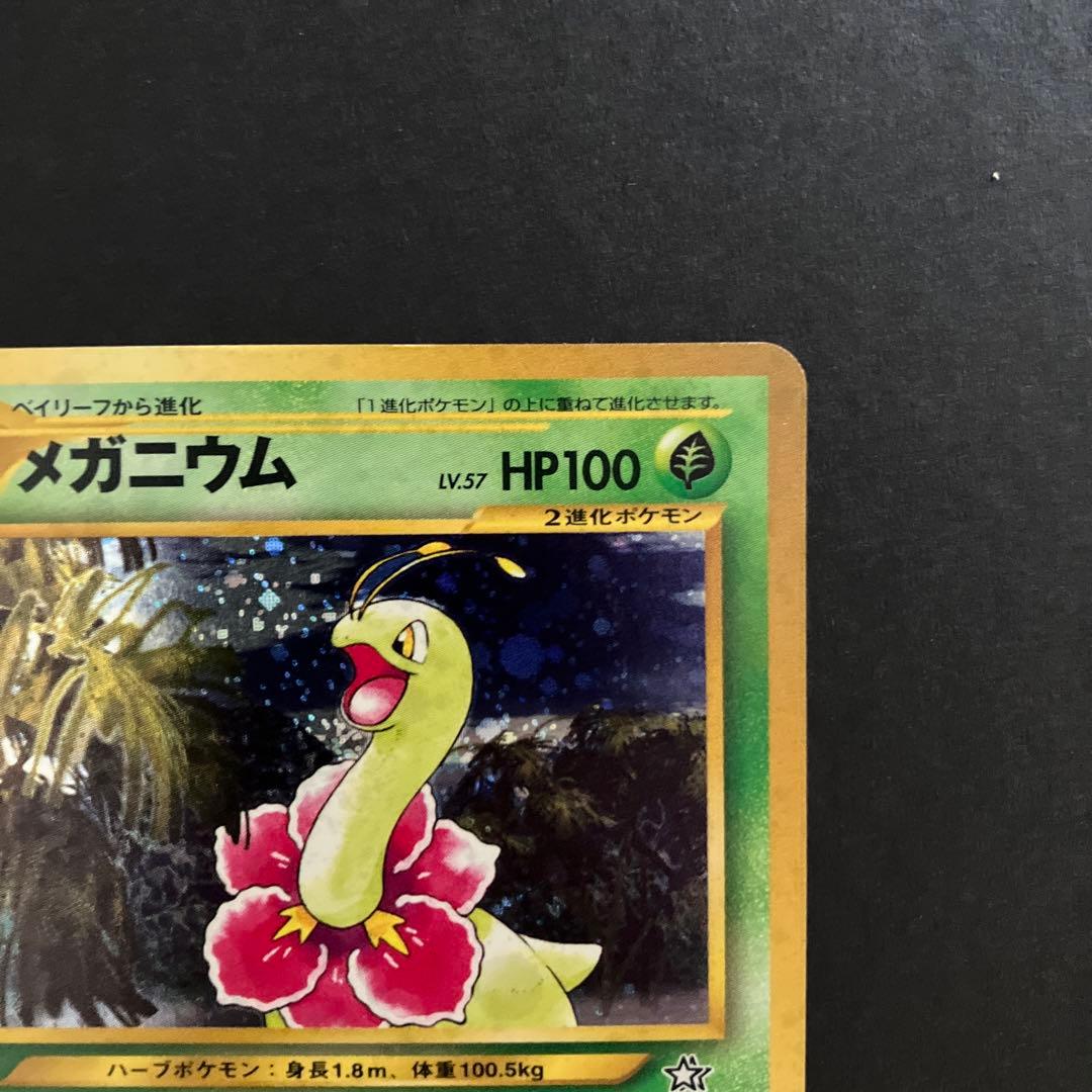 旧裏 ポケモンカード 進化セット チコリータ ベイリーフ メガニウム