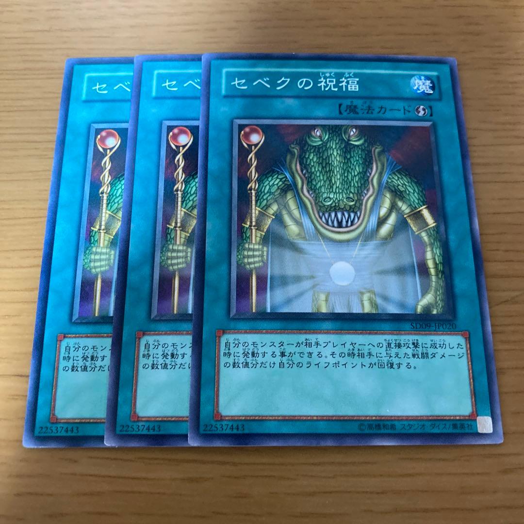 セベクの祝福 - メルカリ