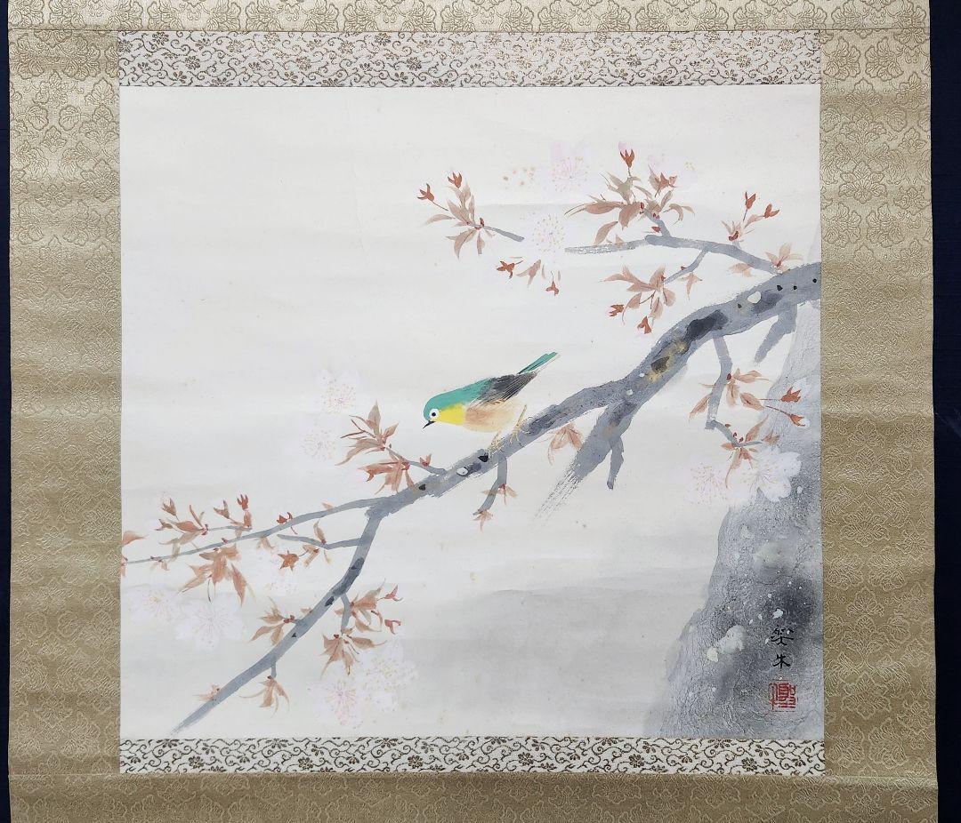 【桜花メジロ図】北上聖牛 2657 サクラに目白 春 掛け軸　肉筆