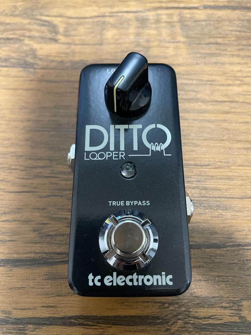 美品】TC Electronic DITTO LOOPER ルーパー - メルカリ