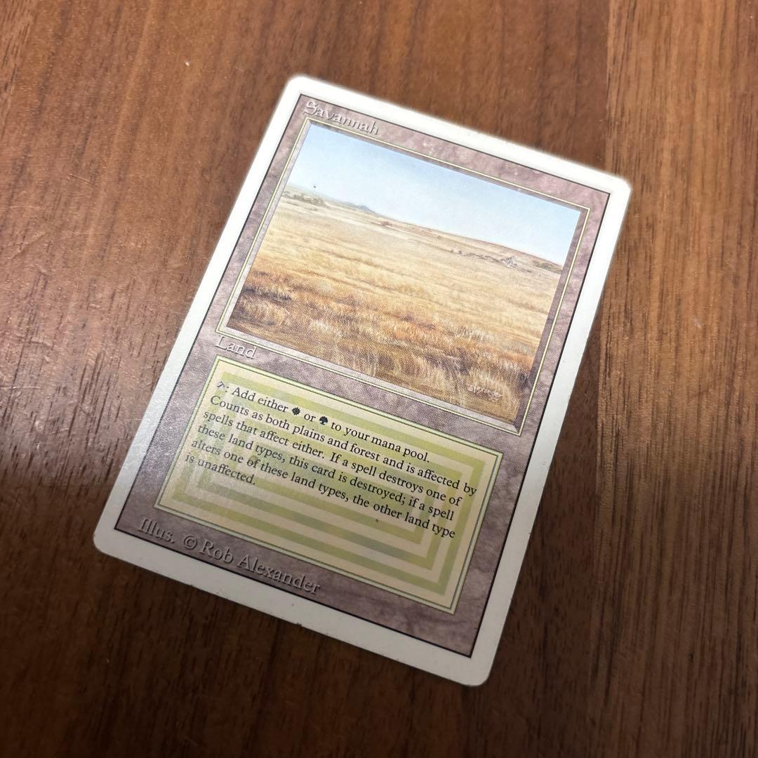 英語《Savannah》[3ED] リバイズド