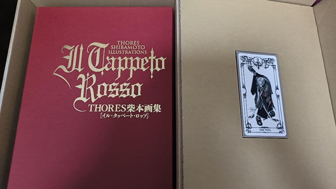 THORES柴本画集 イルタッペートロッソ