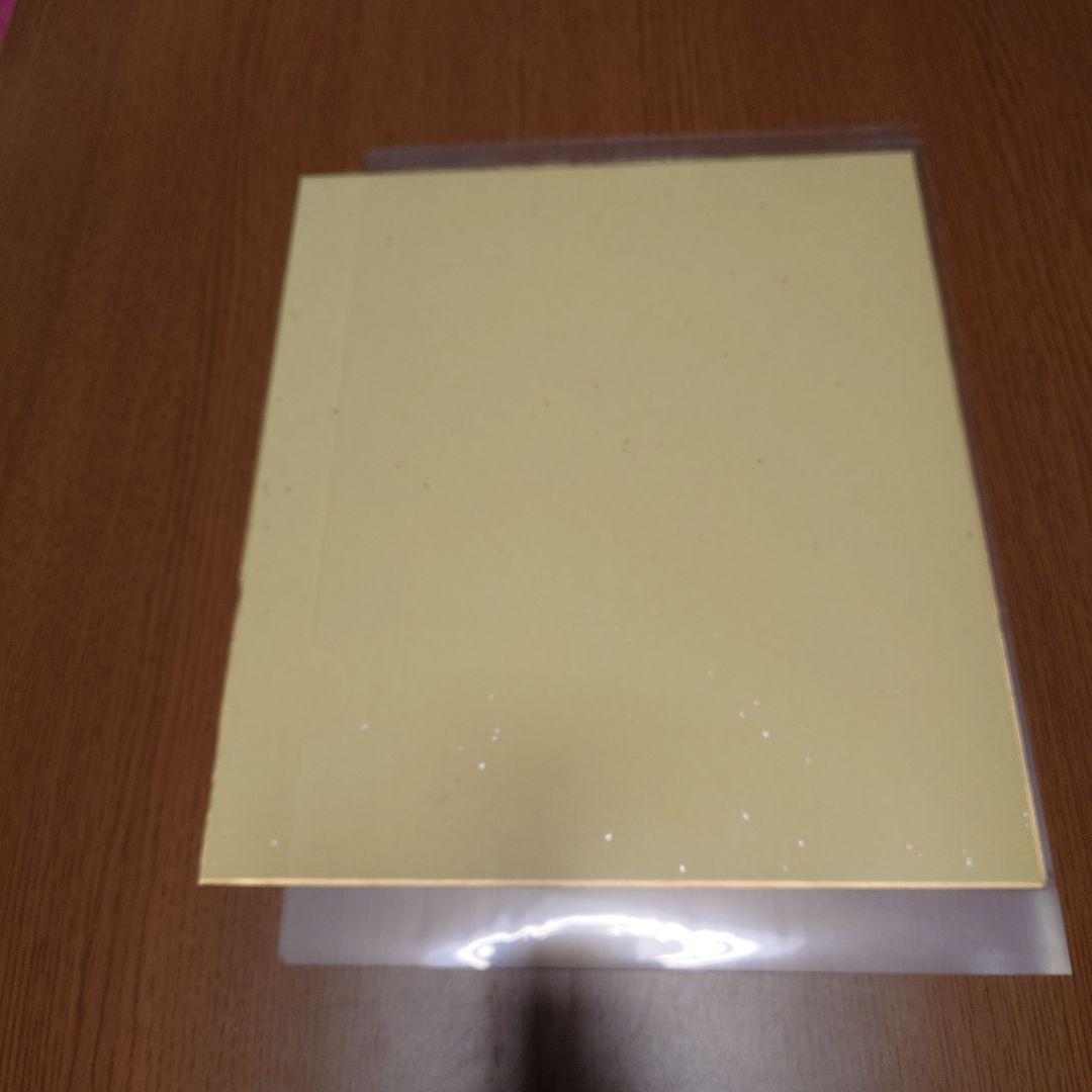 サイレント・ウィッチ サイン色紙 メイトくじネロぬいぐるみ つき