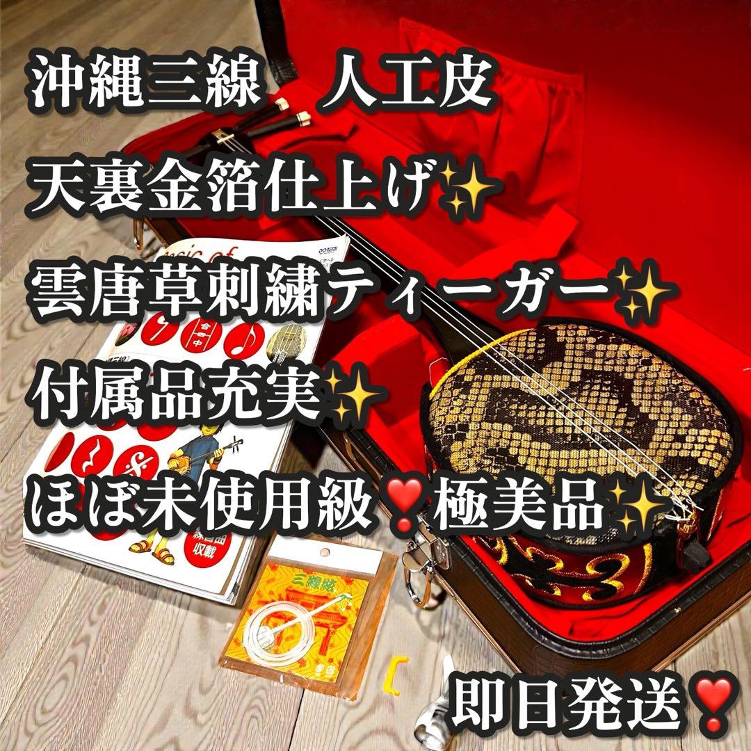 ほぼ未使用級❣️極美品✨ 沖縄三線 人工皮 蛇柄胴 琉球唐草刺繍 ハードケース付き