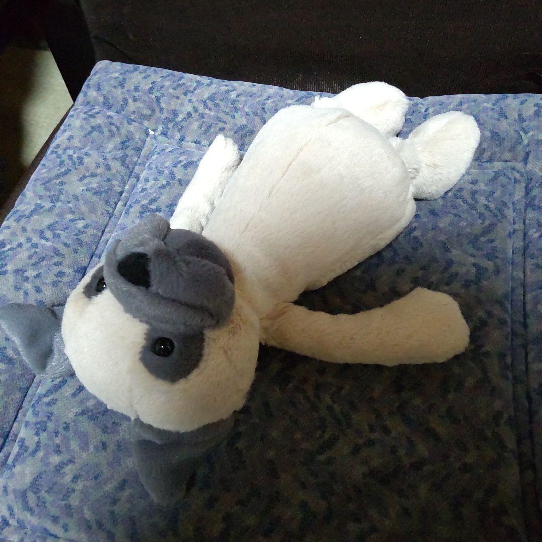 jellycat ジェリーキャット パグ 犬 - メルカリ