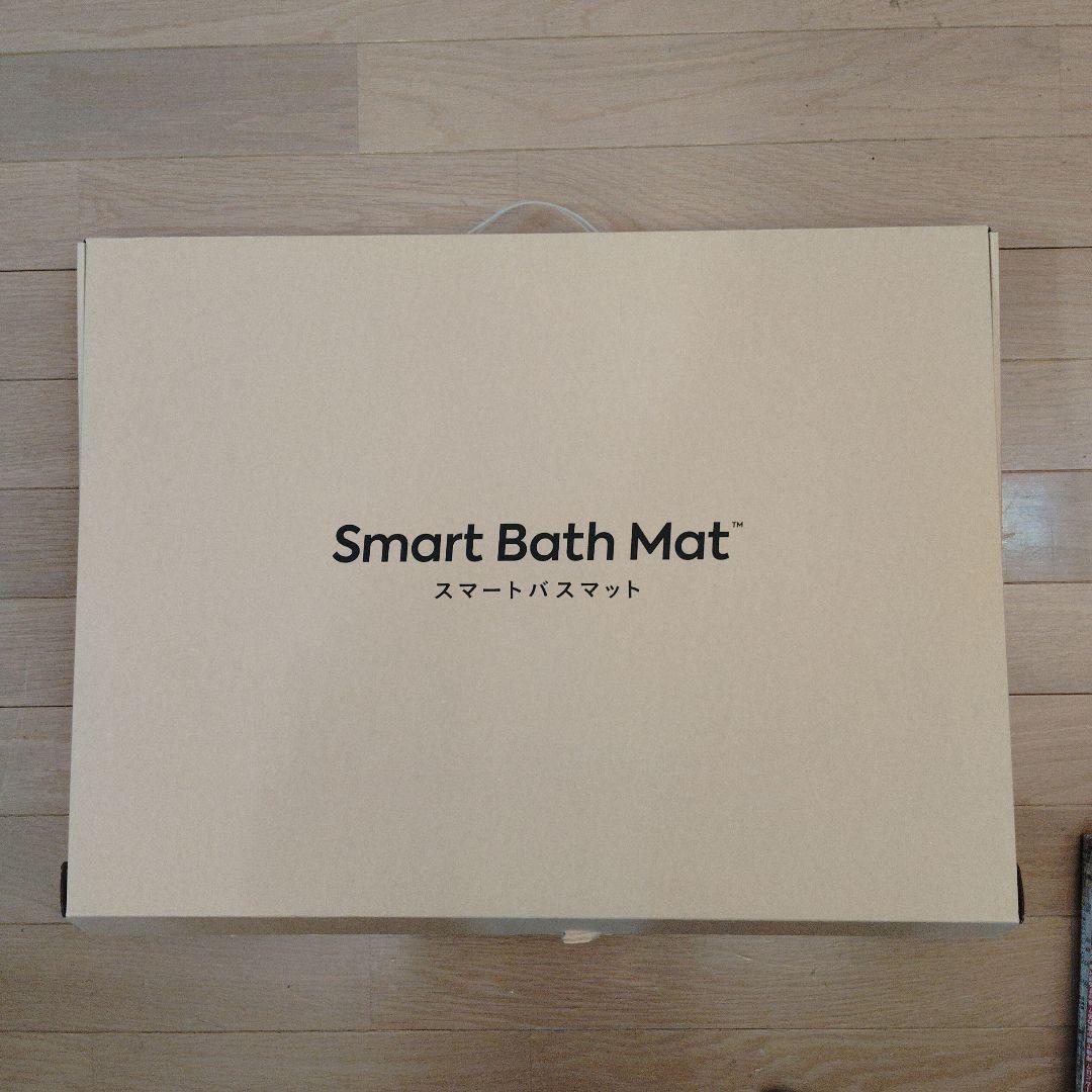 Smart Bath Mat 吸着バスマット グレー