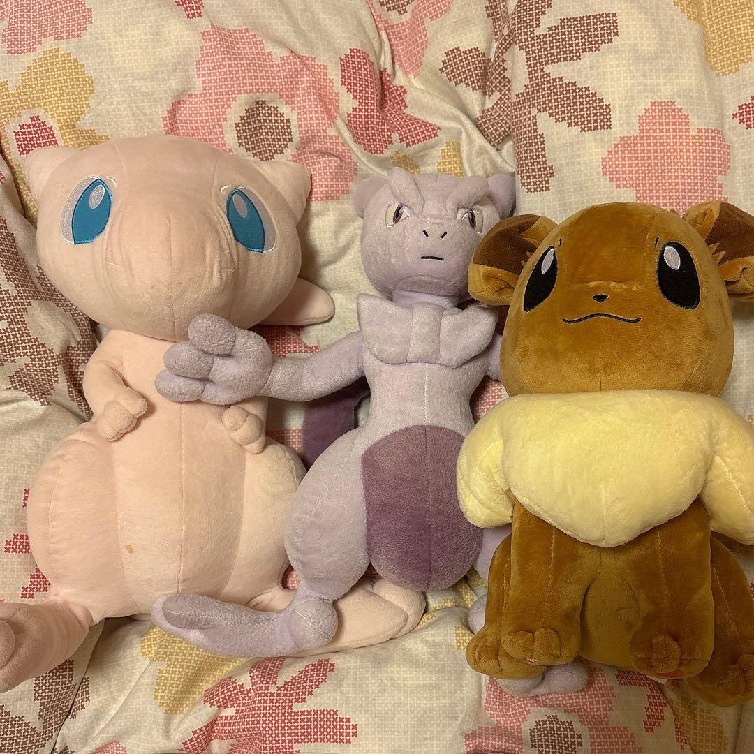 ミュウ ミュウツー イーブイ ぬいぐるみセット