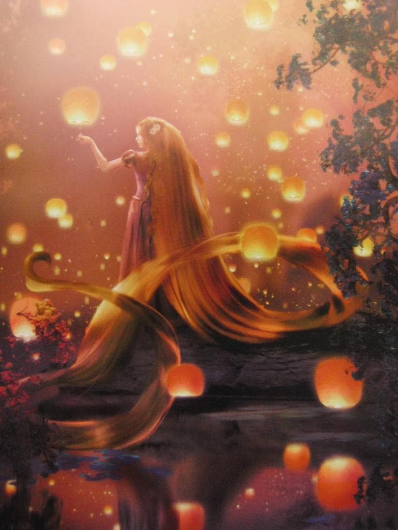 ステファン・マーチンエアー、【Alight】、希少な額装用画集より、状態良好