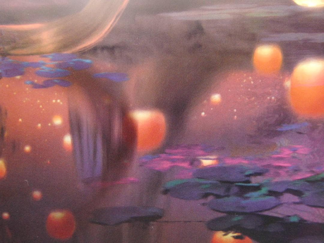 ステファン・マーチンエアー、【Alight】、希少な額装用画集より、状態良好