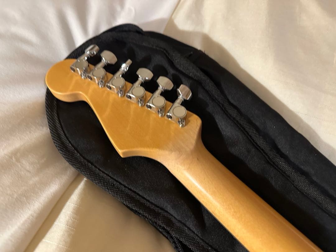 週末値下げ中 Bacchus GLAY HISASHI バッカス ギター