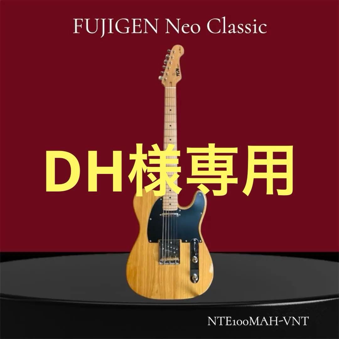 FUJIGEN Neo Classic NTE100MAH-VNT（ケース付き）